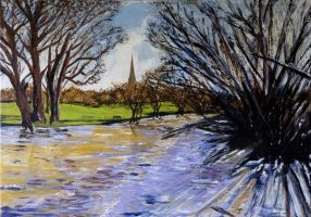 Queen Elizabeth Gardens from the Town Path, Salisbury